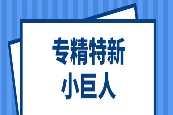 第三批第一年建議支持的國(guó)家級(jí)專精特新“小巨人”企業(yè)名單和2022年度申請(qǐng)簡(jiǎn)單更名的專精特新“小巨人”企業(yè)名單的公示
