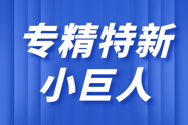 專精特新小巨人企業(yè)的主要特征，小巨人企業(yè)的重點(diǎn)領(lǐng)域