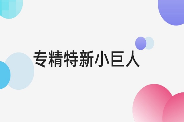 專精特新小巨人認定標準是什么，專精特新小巨人申報條件