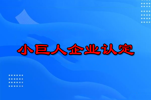 廣州小巨人企業(yè)申請條件（廣州小巨人企業(yè)怎么申報）