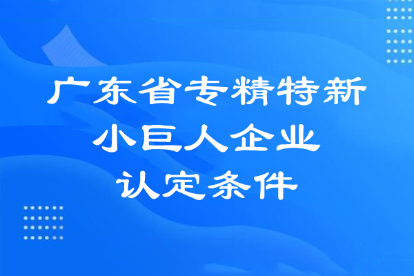 廣東省專精特新小巨人企業(yè)的認定條件