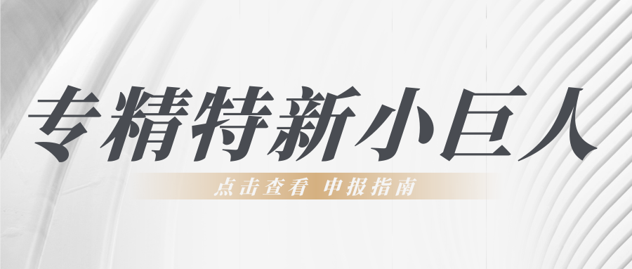 第六批專精特新“小巨人”申報倒計時！企業(yè)要如何準(zhǔn)備申報工作？