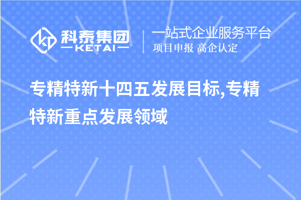 專精特新十四五發(fā)展目標(biāo),專精特新重點發(fā)展領(lǐng)域