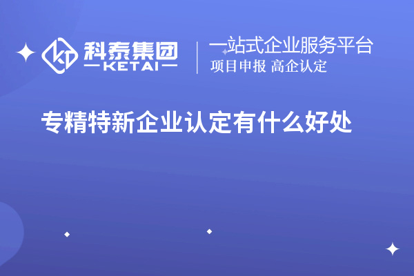 專精特新企業(yè)認定有什么好處