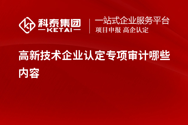 高新技術(shù)企業(yè)認定專項審計哪些內(nèi)容