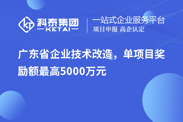 廣東省企業(yè)技術(shù)改造，單項(xiàng)目獎(jiǎng)勵(lì)額最高5000萬(wàn)元！