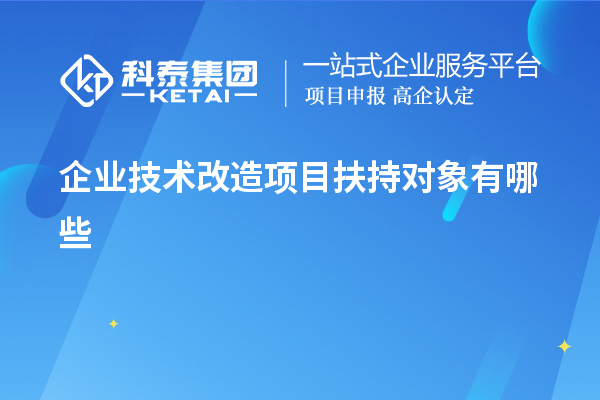 企業(yè)技術(shù)改造項(xiàng)目扶持對(duì)象有哪些
