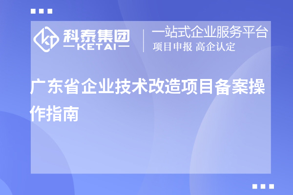 廣東省企業(yè)技術(shù)改造項目備案操作指南