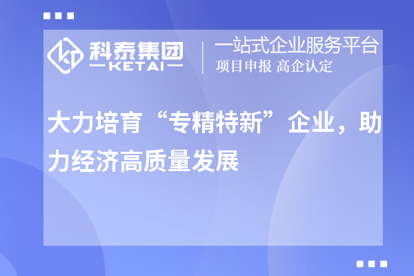 大力培育“專精特新”企業(yè)，助力經(jīng)濟(jì)高質(zhì)量發(fā)展