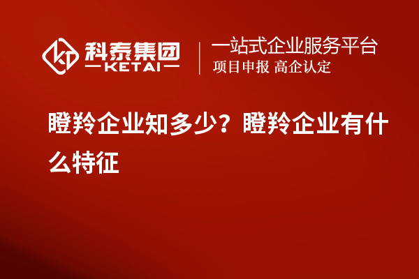 瞪羚企業(yè)知多少？瞪羚企業(yè)有什么特征