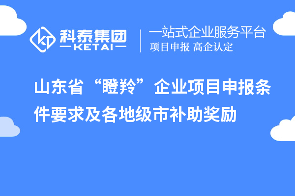 山東省“瞪羚”企業(yè)<a href=http:///shenbao.html target=_blank class=infotextkey>項目申報</a>條件要求及各地級市補助獎勵
