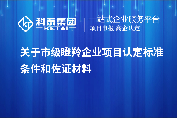 關(guān)于市級(jí)瞪羚企業(yè)項(xiàng)目認(rèn)定標(biāo)準(zhǔn)條件和佐證材料