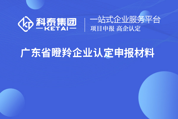 廣東省<a href=http:///fuwu/dengling.html target=_blank class=infotextkey>瞪羚企業(yè)認(rèn)定</a>申報(bào)材料