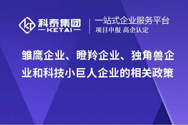 雛鷹企業(yè)、瞪羚企業(yè)、獨角獸企業(yè)和科技小巨人企業(yè)的相關(guān)政策