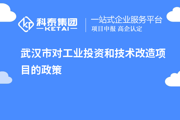 武漢市對工業(yè)投資和<a href=http:///fuwu/jishugaizao.html target=_blank class=infotextkey>技術改造</a>項目的政策