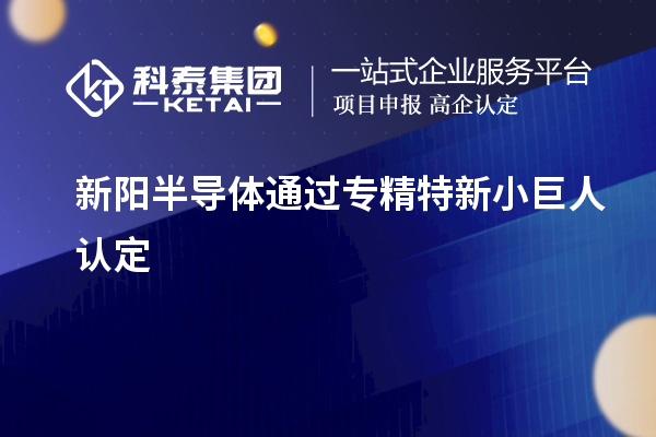 新陽半導(dǎo)體通過專精特新小巨人認定