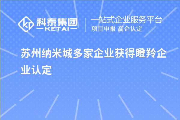 蘇州納米城多家企業(yè)獲得<a href=http:///fuwu/dengling.html target=_blank class=infotextkey>瞪羚企業(yè)認(rèn)定</a>