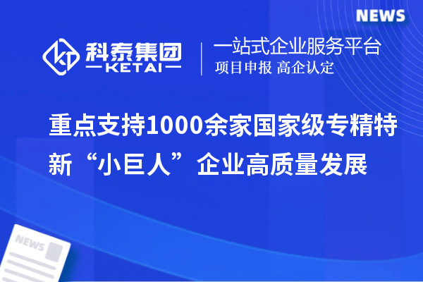 重點(diǎn)支持1000余家國家級專精特新“小巨人”企業(yè)高質(zhì)量發(fā)展