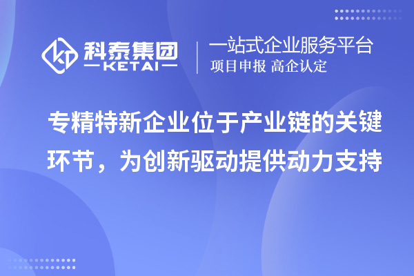 專精特新企業(yè)位于產(chǎn)業(yè)鏈的關(guān)鍵環(huán)節(jié)，為創(chuàng)新驅(qū)動提供動力支持