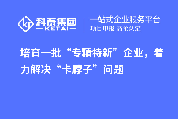 培育一批“專精特新”企業(yè)，著力解決“卡脖子”問題