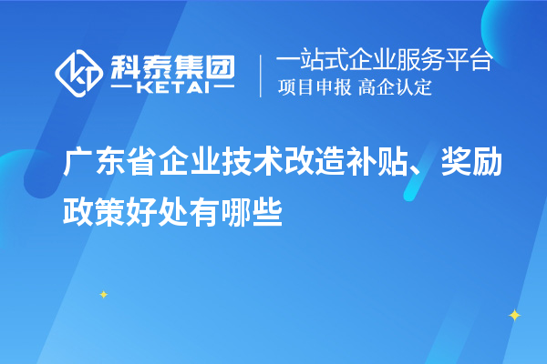 廣東省企業(yè)技術(shù)改造補(bǔ)貼、獎(jiǎng)勵(lì)政策好處有哪些