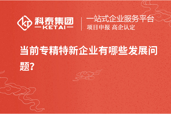 當前專精特新企業(yè)有哪些發(fā)展問題？