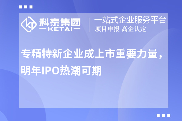 專精特新企業(yè)成上市重要力量，明年IPO熱潮可期