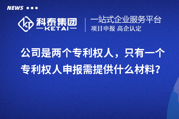 公司是兩個(gè)專利權(quán)人，只有一個(gè)專利權(quán)人申報(bào)需提供什么材料？