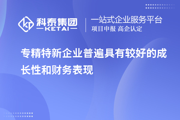 專精特新企業(yè)普遍具有較好的成長性和財(cái)務(wù)表現(xiàn)