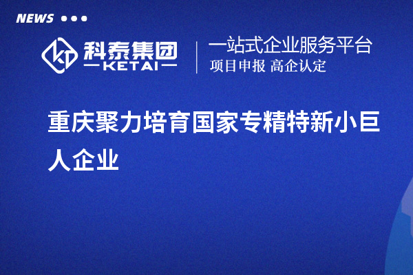 重慶聚力培育國(guó)家專精特新小巨人企業(yè)