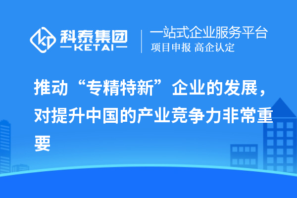 推動(dòng)“專精特新”企業(yè)的發(fā)展，對提升中國的產(chǎn)業(yè)競爭力非常重要