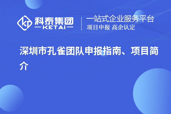 深圳市孔雀團隊申報指南、項目簡介
