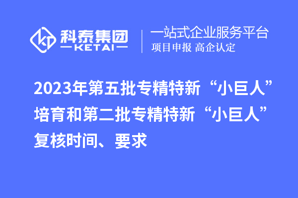 2023年第五批專精特新“小巨人”培育和第二批專精特新“小巨人”復(fù)核時(shí)間、要求