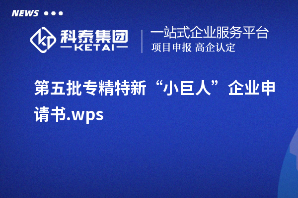 第五批專精特新“小巨人”企業(yè)申請(qǐng)書.wps