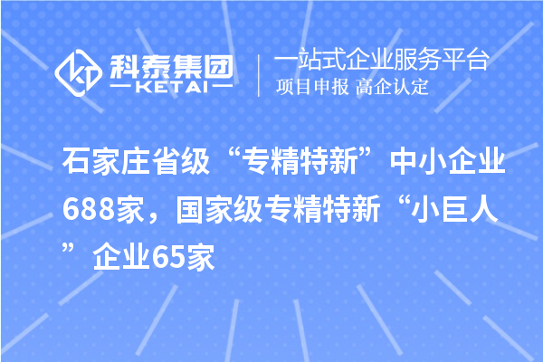 石家莊省級(jí)“專精特新”中小企業(yè)688家，國(guó)家級(jí)專精特新“小巨人”企業(yè)65家