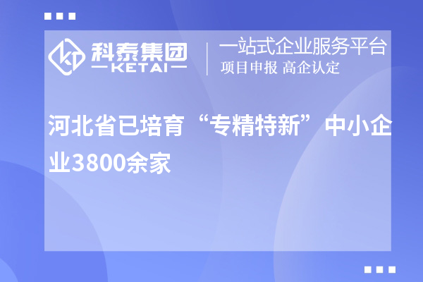 河北省已培育“專(zhuān)精特新”中小企業(yè)3800余家
