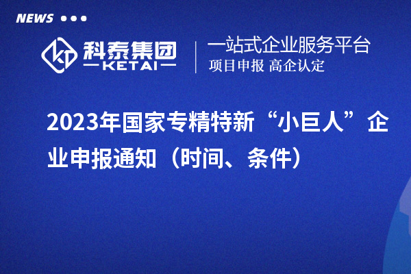 2023年國家專精特新“小巨人”企業(yè)申報通知（時間、條件）