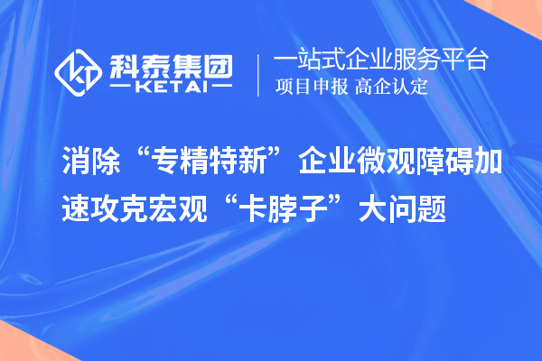 消除“專精特新”企業(yè)微觀障礙 加速攻克宏觀“卡脖子”大問(wèn)題
