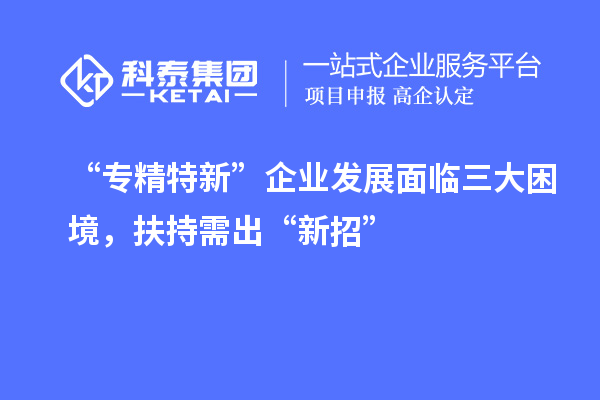 “專精特新”企業(yè)發(fā)展面臨三大困境，扶持需出“新招”