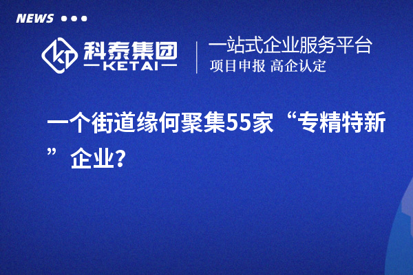 一個街道緣何聚集55家“專精特新”企業(yè)？