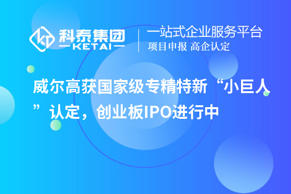 威爾高獲國家級專精特新“小巨人”認定，創(chuàng)業(yè)板IPO進行中