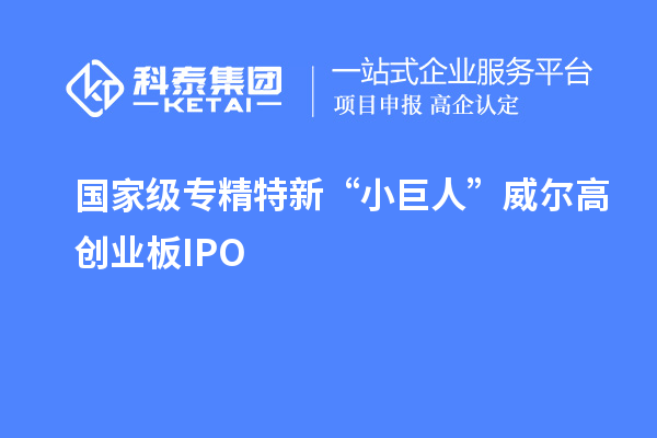 國(guó)家級(jí)專(zhuān)精特新“小巨人”威爾高創(chuàng)業(yè)板IPO