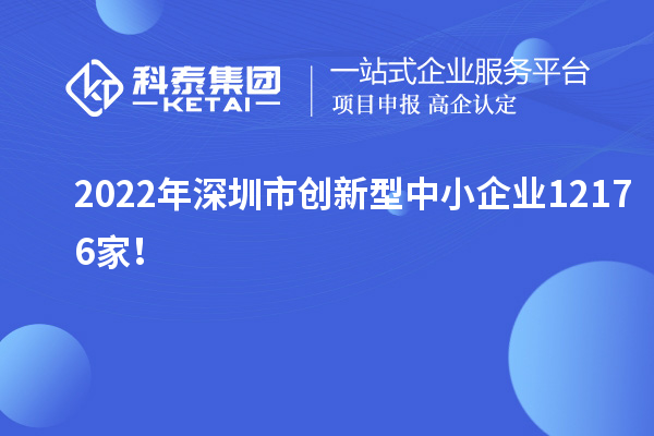2022年深圳市創(chuàng)新型中小企業(yè)12176家！