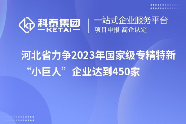河北省力爭2023年國家級專精特新“小巨人”企業(yè)達(dá)到450家