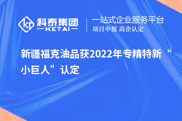 新疆?？擞推帆@2022年專精特新“小巨人”認(rèn)定