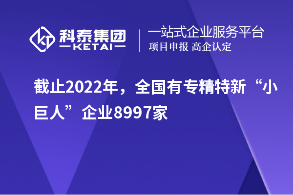 截止2022年，全國(guó)有專精特新“小巨人”企業(yè)8997家