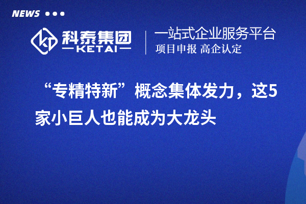 “專精特新”概念集體發(fā)力，這5家小巨人也能成為大龍頭