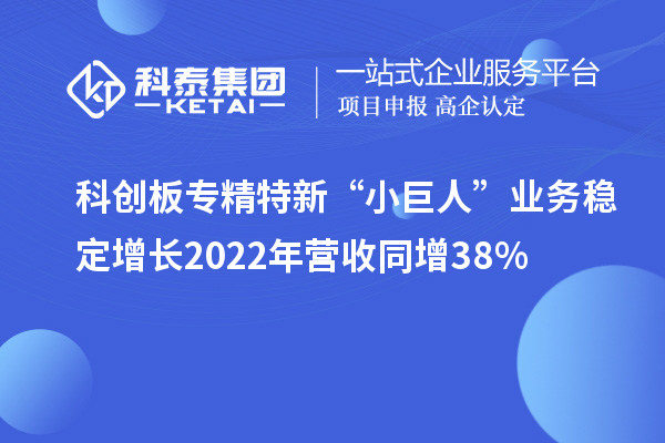 科創(chuàng)板專精特新“小巨人”業(yè)務(wù)穩(wěn)定增長(zhǎng) 2022年?duì)I收同增38%