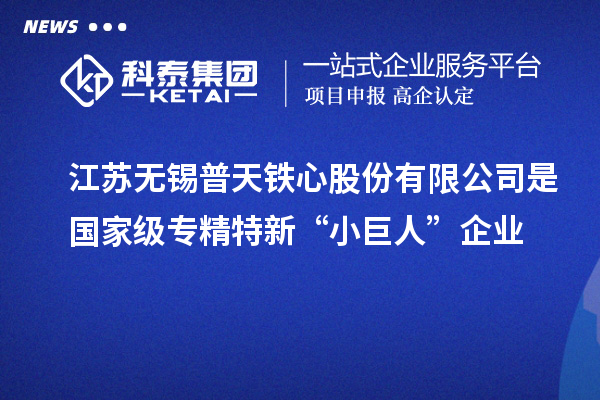 江蘇無(wú)錫普天鐵心股份有限公司是國(guó)家級(jí)專(zhuān)精特新“小巨人”企業(yè)