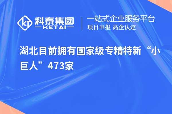 湖北目前擁有國(guó)家級(jí)專(zhuān)精特新“小巨人”473家